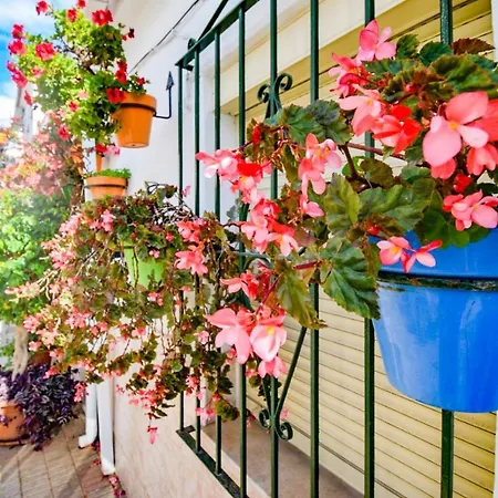 Old Town House *